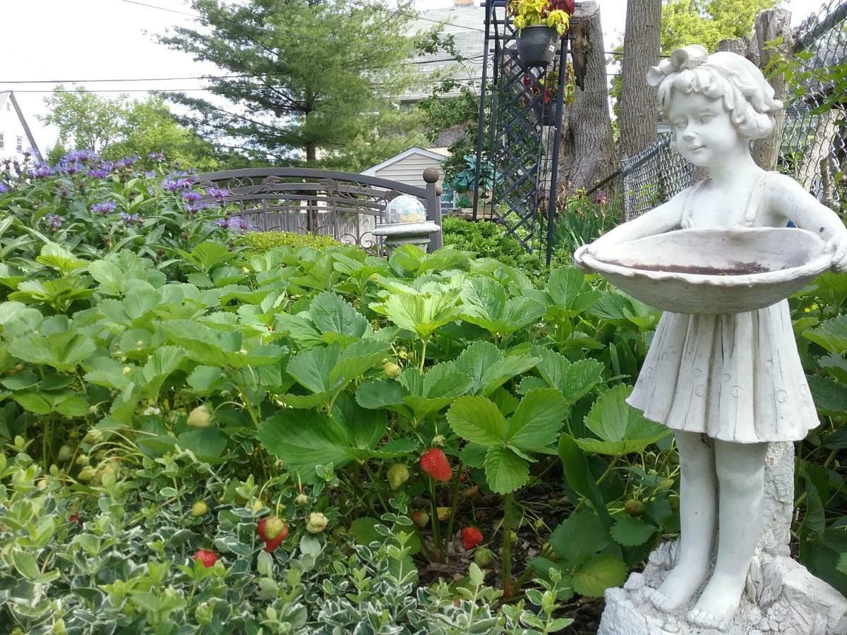 Hanover House Bed And Breakfast Ниагара-Фолс Экстерьер фото